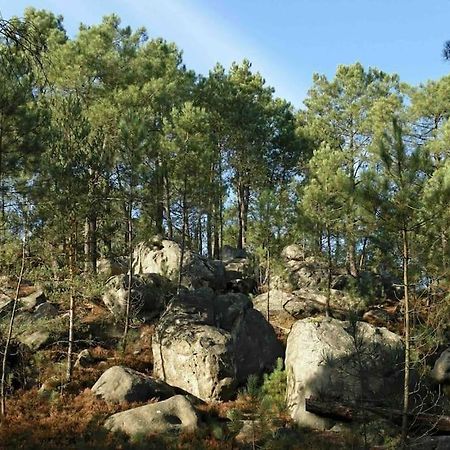Maison De Campagne - Bois Le Roi 4 Pers Exteriör bild