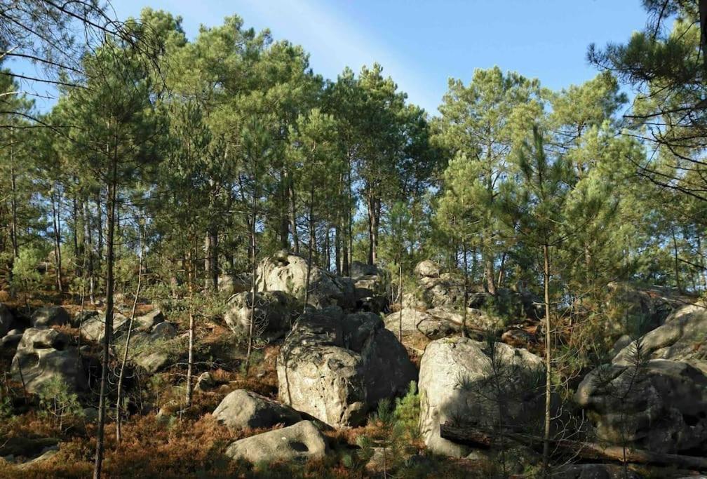 Maison De Campagne - Bois Le Roi 4 Pers Exteriör bild
